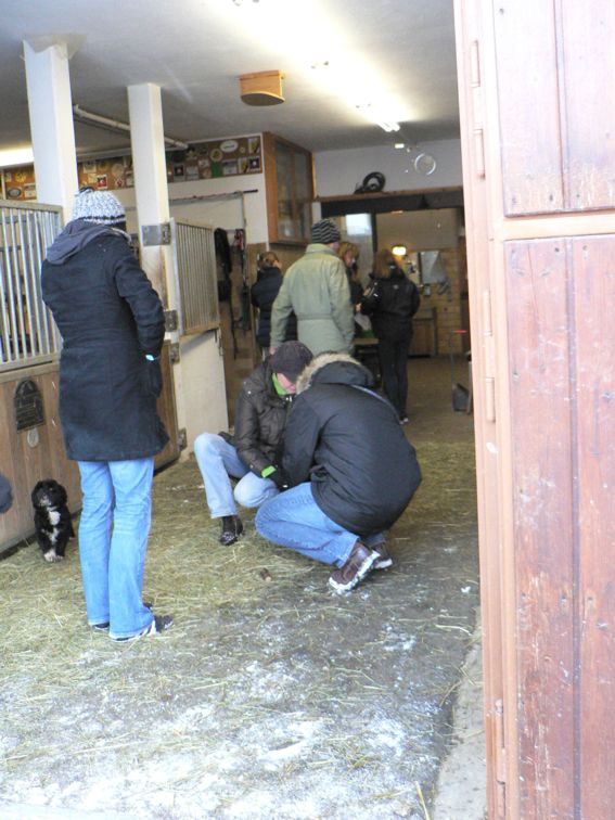 Familientreffen_14.jpg