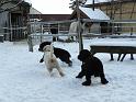 Familientreffen_06