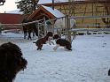 Familientreffen_08