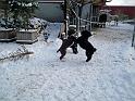 Familientreffen_12