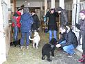 Familientreffen_13