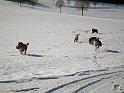 Familientreffen_31